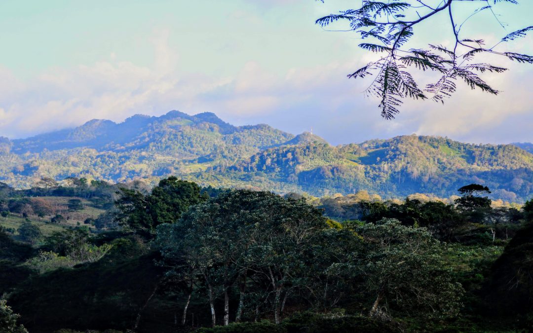 Update From Nicaragua- COVID-19