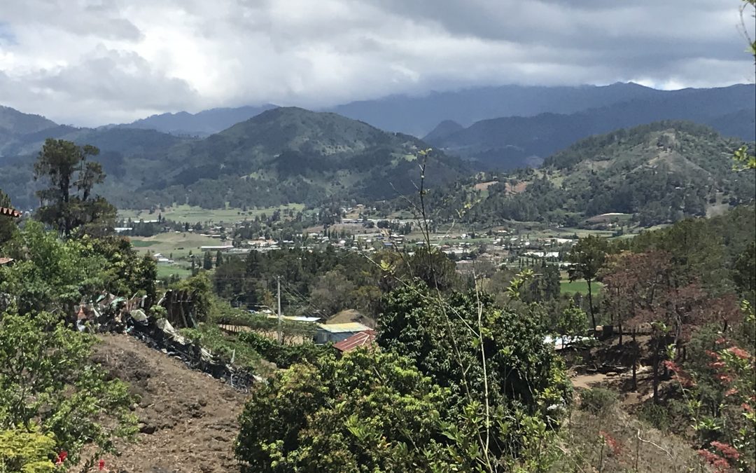 Learning Journey: Dominican Republic 2021